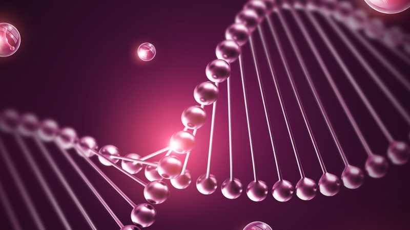 生物药CDMO：揭秘其研发生产的秘密武器**