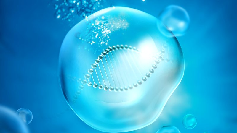 生物医药外包服务报价，如何规避潜在风险？**