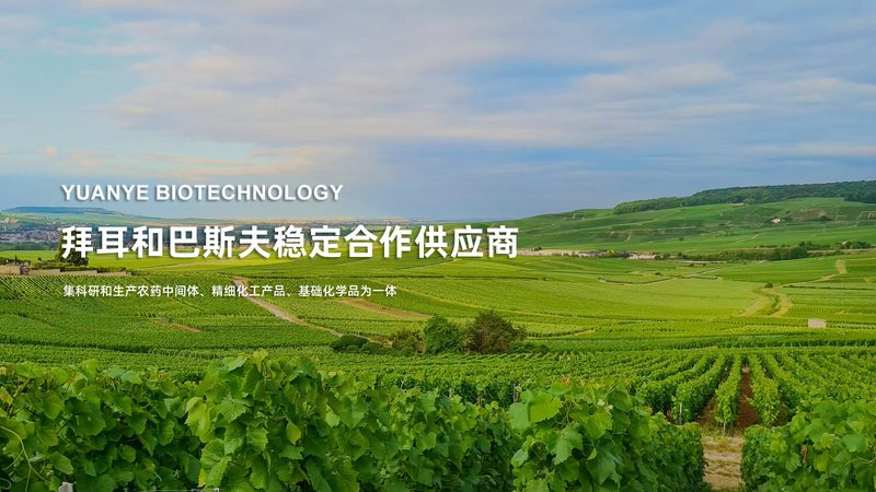 生物制品临床试验步骤解析：关键节点与策略**