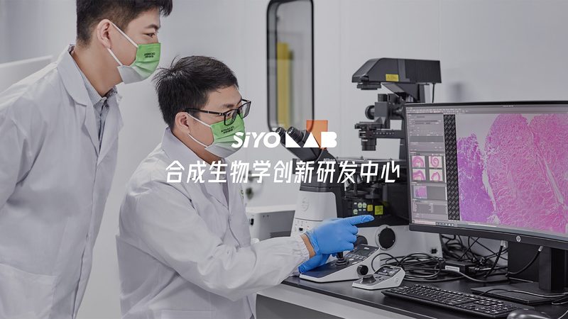CDMO与CMO合作：揭秘合作背后的关键要素