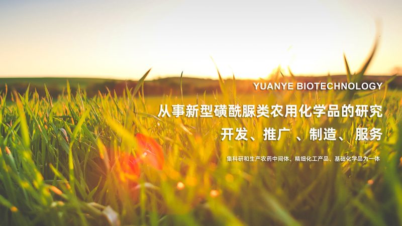 实验室耗材加工规范标准：解读与遵循