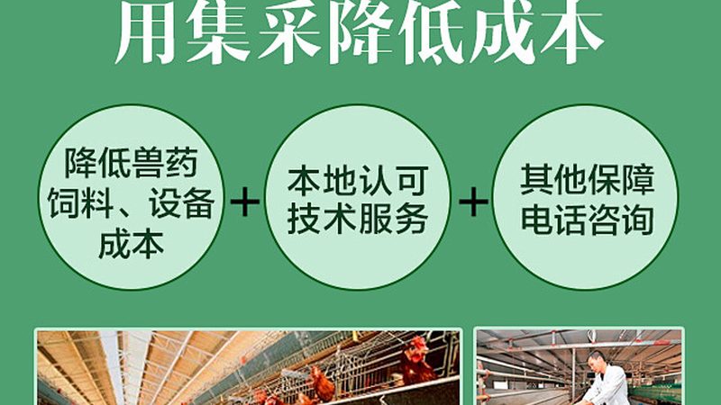 CDMO工艺流程：揭秘其优缺点对比