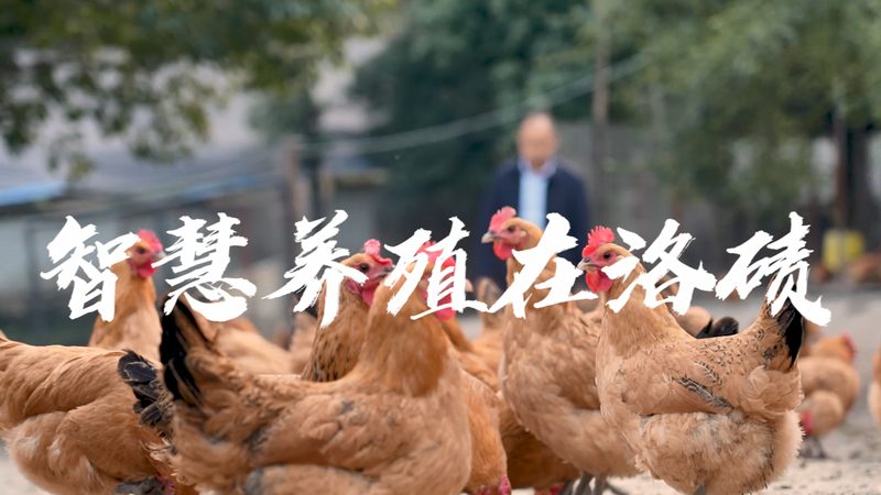 医药用酶分类及用途解析：揭开酶制剂在生物医药领域的奥秘