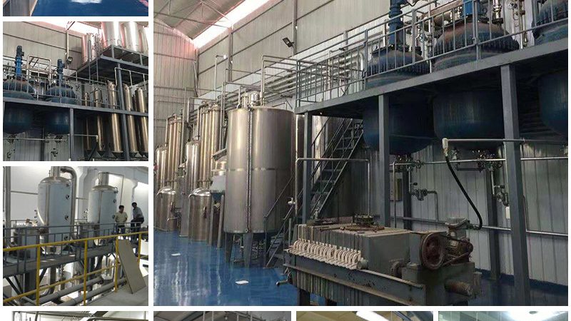 第三方诊断试剂代工工厂：揭秘其背后的工艺与选择要点**