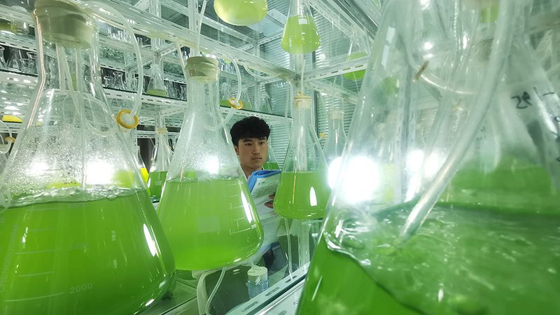 CDMO与CMO：揭秘两者价格差异背后的秘密